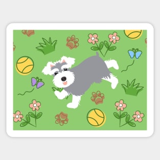 Playing Miniature Schnauzer Sticker